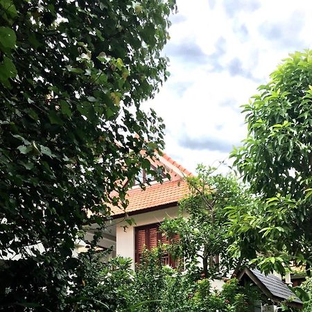 Pearl Paradise Villa Danang Exterior foto
